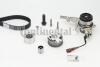 Комплект ГРМ + Помпа CT1229WP1