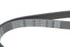 Ремень П-клиновой 6EPK1090 (Elastic) CITROEN C4 1.6HDi 05- DAYCO 6PK1090EE (фото 4)