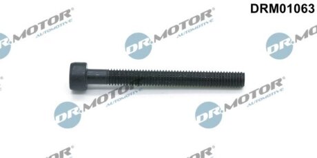 Болт з головкою системи TORX з чорного металу DR.MOTOR DRM01063