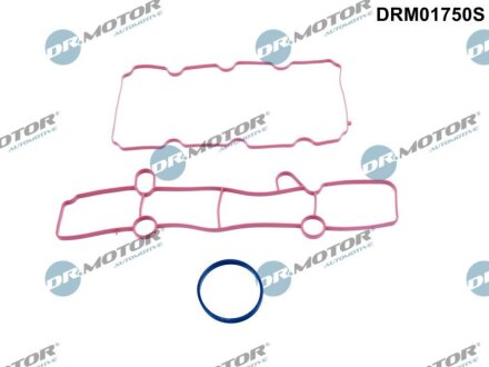 Комплект прокладок гумових DR.MOTOR DRM01750S