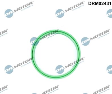 Кільце гумове DR.MOTOR DRM02431 (фото 1)