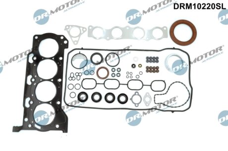 Комплект прокладок з різних матеріалів DR.MOTOR DRM10220SL