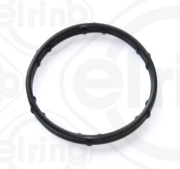 Кільце ущільнення, coolant tube ELRING 248250