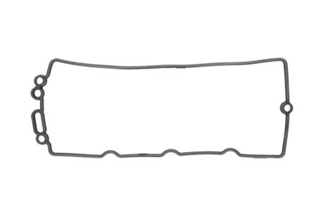 Прокладка, кришка головки циліндра ELRING 456220