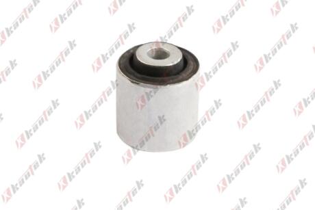 BMW С/блок важеля підвіски задн. X3/F25, X4/F26 Kautek BM-BS166