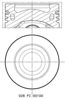 Поршень MAHLE / KNECHT 028 PI 00100 002 (фото 1)