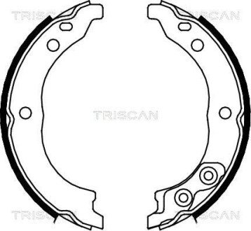 Комплект гальмівних колодок, стоянкове гальмо TRISCAN 810010010