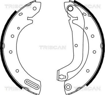 Колодки гальмівні задні барабанні TRISCAN 810014596