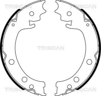 Комплект гальмівних колодок, стоянкове гальмо TRISCAN 810069006