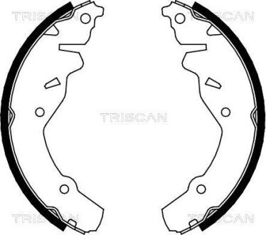 Комплект гальмівних колодок TRISCAN 810080002