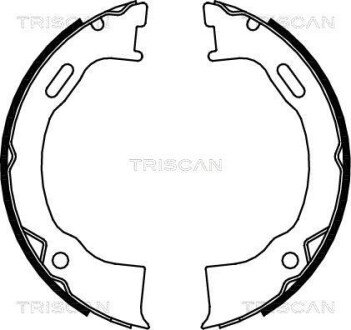 Комплект гальмівних колодок, стоянкове гальмо TRISCAN 810080006 (фото 1)